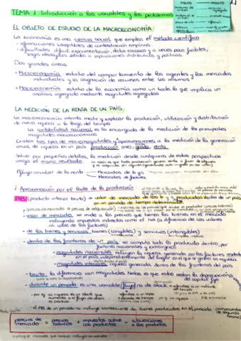 TEMAS-completo-intro-2.pdf