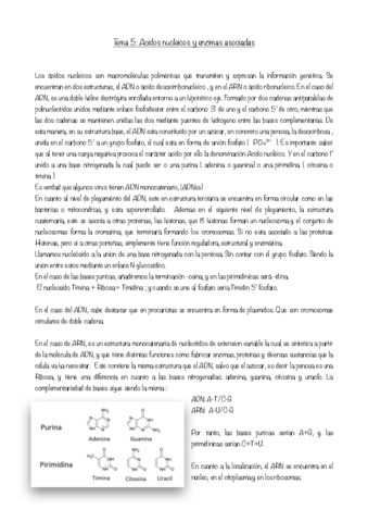 resumen-tema-5-bio.pdf