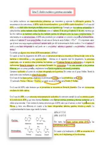 tema 5 ácidos nucleicos subrayado