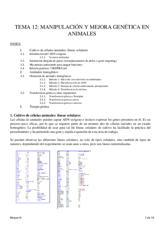 TEMA-12-INGENIERIA-GENETICA.pdf