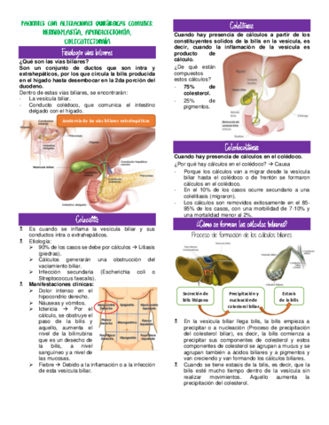 Paciente-quirurgico-II-pdf.pdf