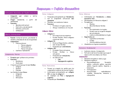 Resumen-Tejido-Conectivo.pdf