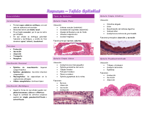 Resumen-Tejido-Epitelial.pdf