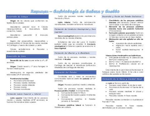 Resumen-Embriologia-de-Cabeza-y-Cuello.pdf