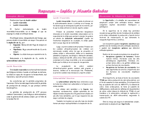 Resumen-Lesion-y-Muerte-Celular.pdf