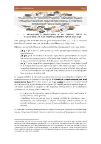 TEMA-6.pdf
