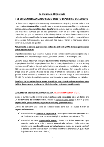 Apuntes-Criminalidad-Organizada.pdf