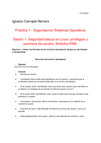 P1S1SSO.pdf