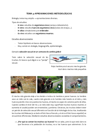 Tema-3-Aproximaciones-metodologicas.pdf