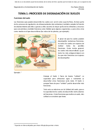 Apuntes-Suelos-Completos.pdf