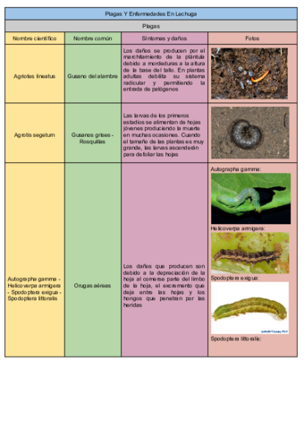 Plagas-y-Enfermedades-Gestion-1.pdf