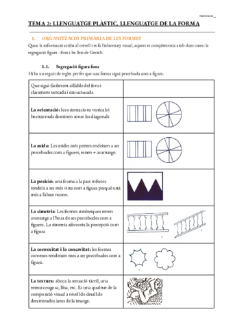 T2-Llenguatge-plastic.pdf