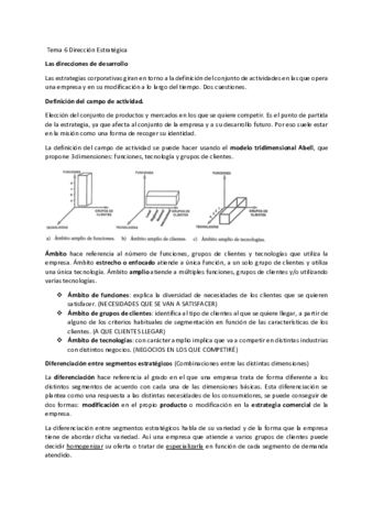 Tema-6-Direccion-Estrategica.pdf