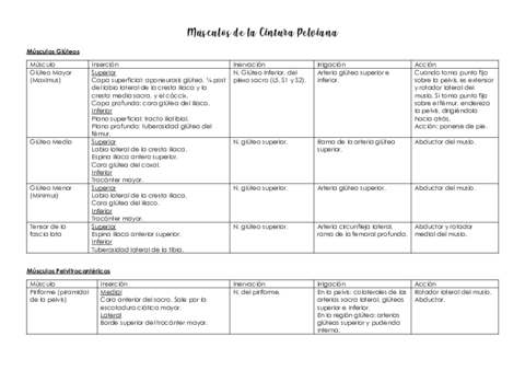 Musculos-del-Miembro-Inferior.pdf