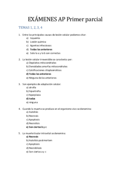Examenes AP. 1er parcial.pdf