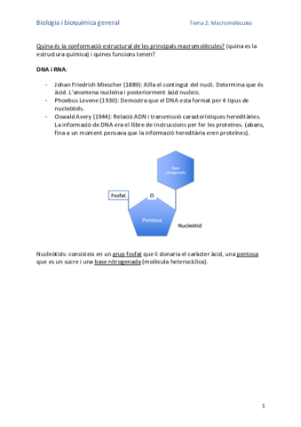 Quina-es-la-conformacio-estructural-de-les-principals-macromolecules.pdf
