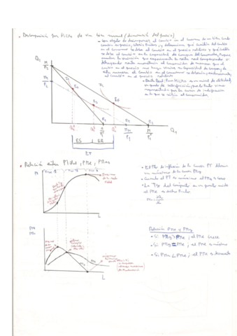 Apuntes Examen Enero y Julio Principios de Microeconomía.pdf