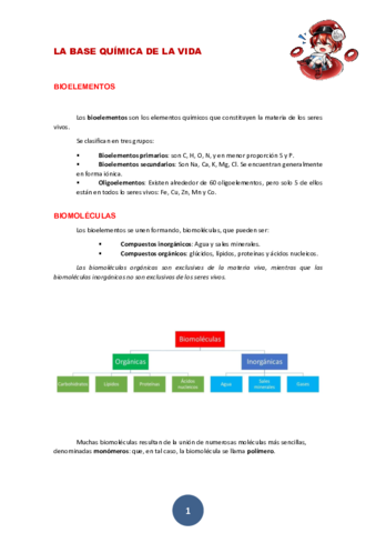 Bioquimica-Biologia-1BACH.pdf