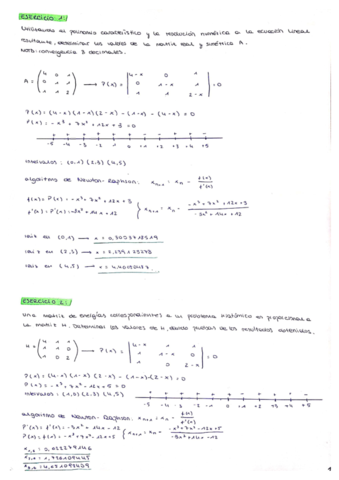 ejercicios-variados-CNE.pdf