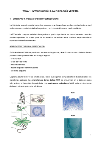 Temario-Biologia-Vegetal.pdf