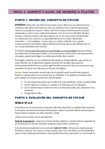 TEMA-1-prof-Juan-Hermoso.pdf
