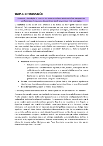 Apuntes-Sociologia-economica-definitivos.pdf