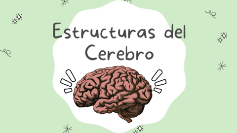 ESTRUCTURAS-DEL-CEREBRO.pdf