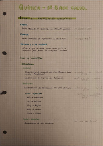 Resumen-formulacion-inorganica-y-medidas-de-la-masa.pdf