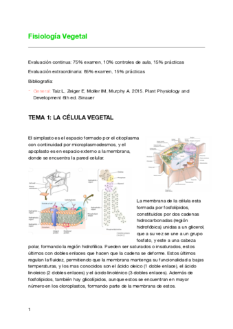 Fisio-Vegetal-Primer-Semestre-2019-2020.pdf