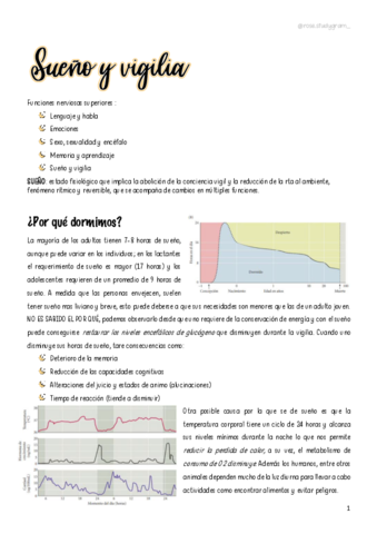 T11-Sueno y vigilia.pdf