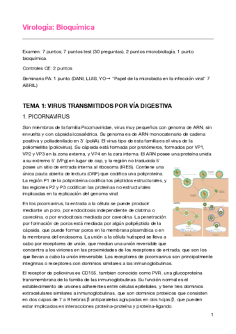 Virologia-Bioquimica-2020-2021.pdf