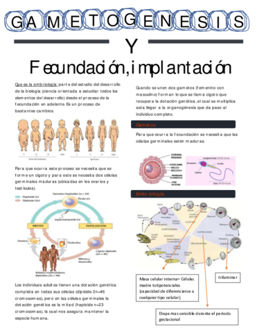 Que-es-la-embriologia.pdf