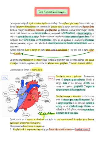 T6.pdf