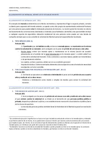 Allanamiento-de-Morada.pdf