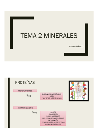 TEMA-4-MINE.pdf