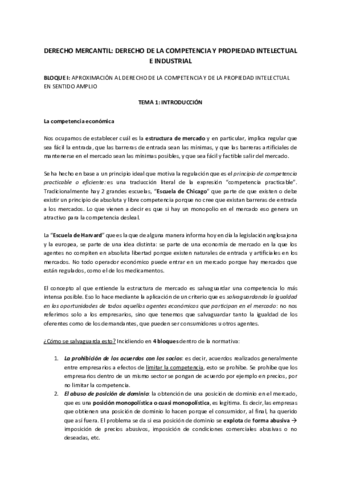 Apunts-Classe-Clara-Bisbal.pdf