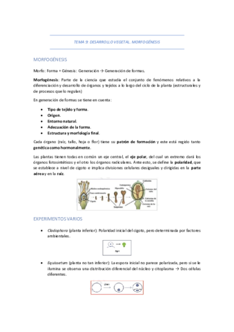 TEMA-9-DESARROLLO-VEGETAL.pdf