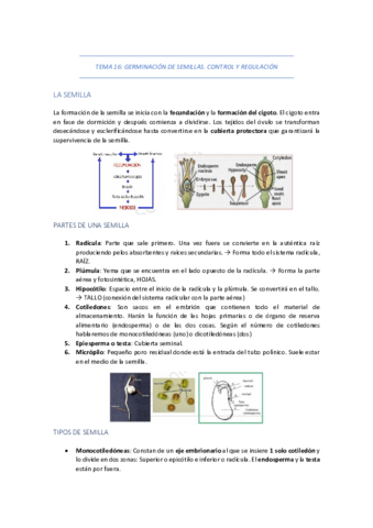 TEMA-16-GERMINACION-DE-SEMILLAS.pdf