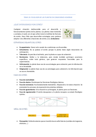 TEMA-19-FISIOLOGIA-DE-LAS-PLANTAS-EN-CONDICIONES-ADVERSAS.pdf