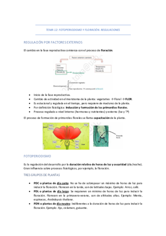 TEMA-12-FOTOPERIODISMO-Y-FLORACION.pdf