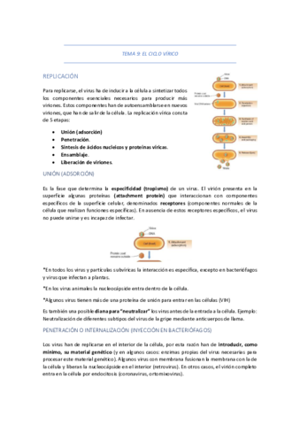 TEMA-9-EL-CICLO-VIRICO.pdf