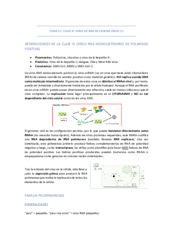 TEMA-15-CLASE-IV-VIRUS-DE-RNA-DE-CADENA-UNICA-POSITIVA.pdf