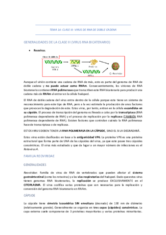 TEMA-14-CLASE-III-VIRUS-DE-RNA-DE-DOBLE-CADENA.pdf
