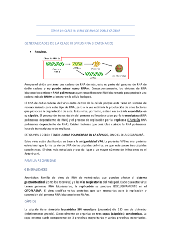 TEMA-14-CLASE-III-VIRUS-DE-RNA-DE-DOBLE-CADENA.pdf