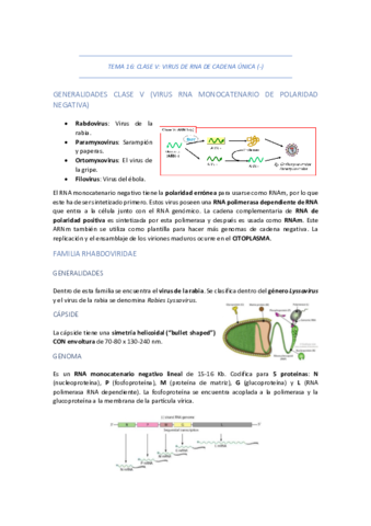 TEMA-16-CLASE-V-VIRUS-DE-RNA-DE-CADENA-UNICA-NEGATIVA.pdf