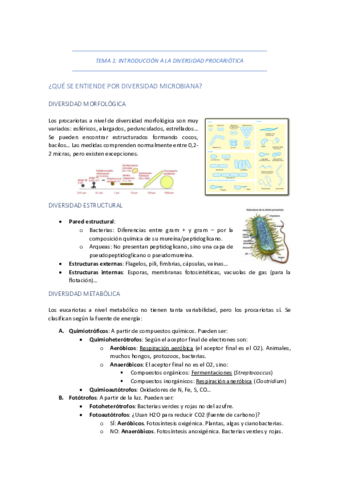 TEMA-1-INTRODUCCION-A-LA-DIVERSIDAD-PROCARIOTICA.pdf