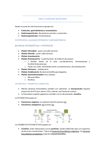 TEMA-4-DIVERSIDAD-DE-BACTERIAS.pdf