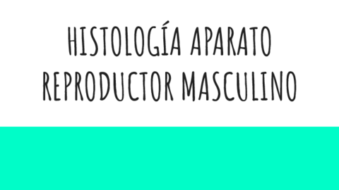 HISTOLOGIA-APARATO-REPRODUCTOR-MASCULINO.pdf