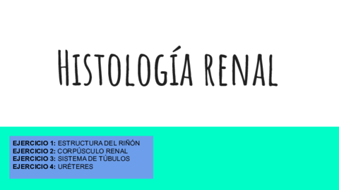 Histologia-renal.pdf