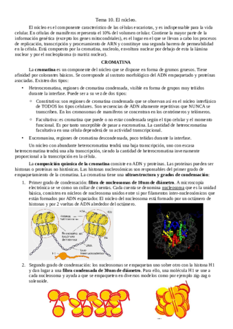 Tema-10-el-nucleo.pdf